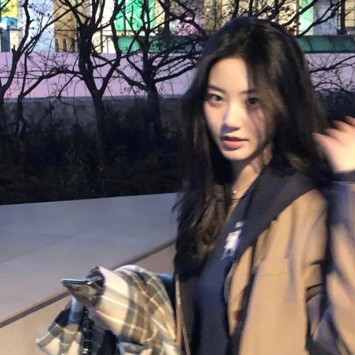 亲爱的莱蒙·利玛